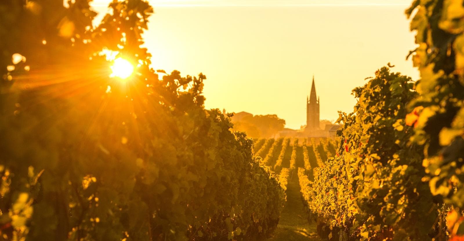 Gruppenreise Bordeaux, Périgord & Atlantik: Grand Cru, Austern und Signature-Menüs