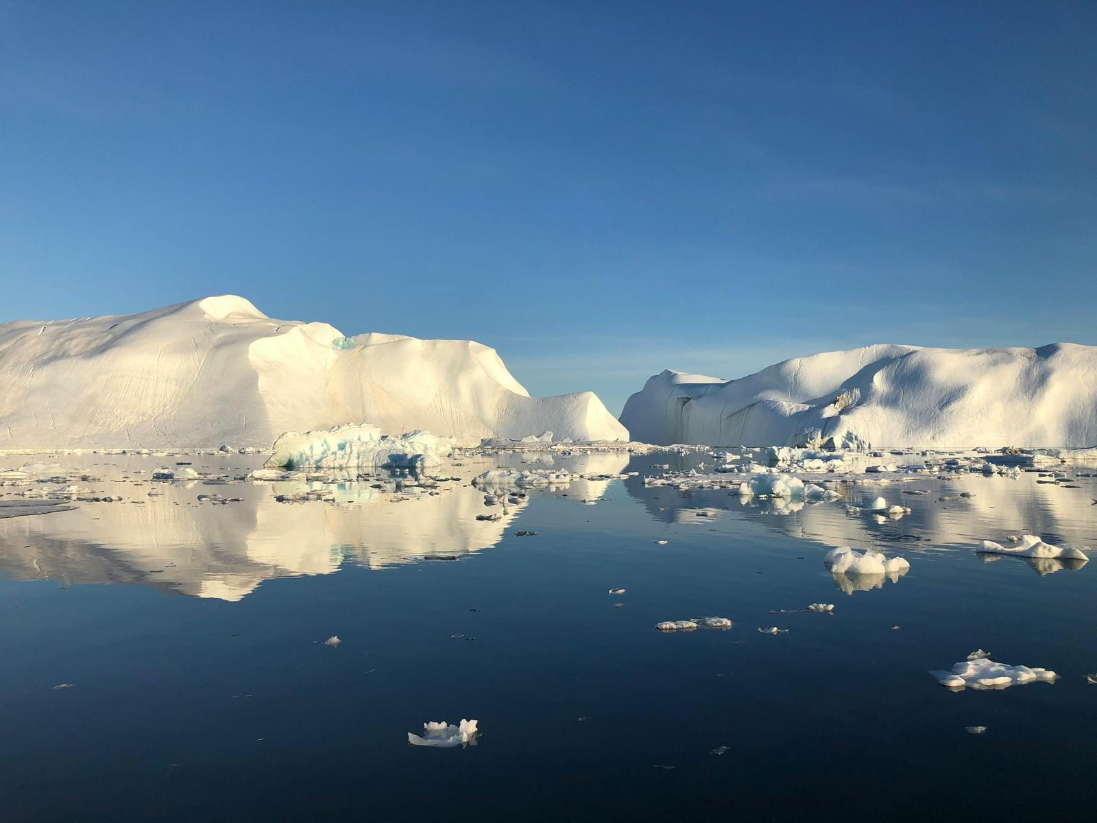Eisberge im Sonnenlicht spiegeln sich auf ruhiger Wasseroberfläche in Grönland.