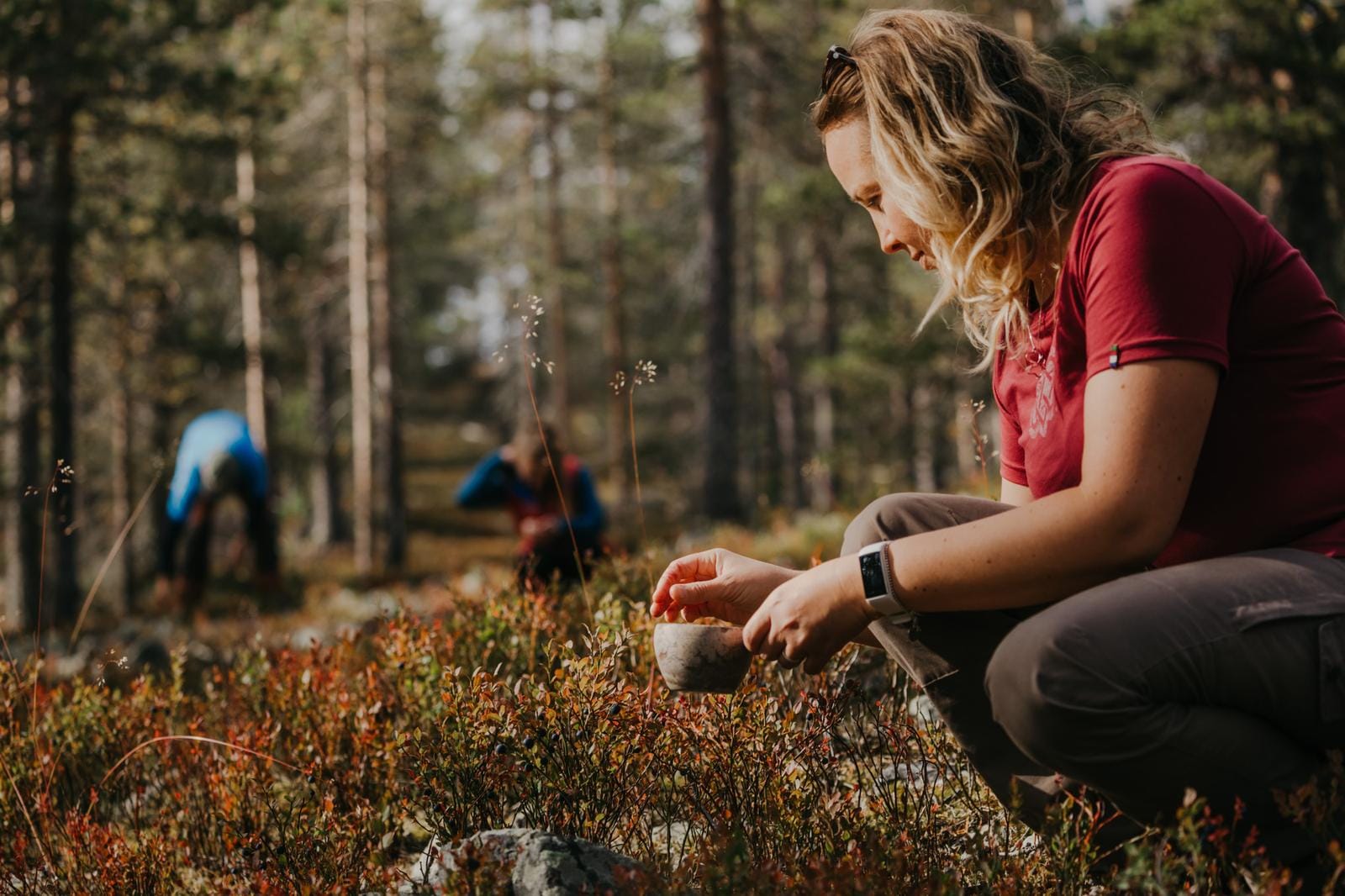 Frau pflĂŒckt Beeren im herbstlichen Wald, Sonnenlicht fĂ€llt durch die BĂ€ume.