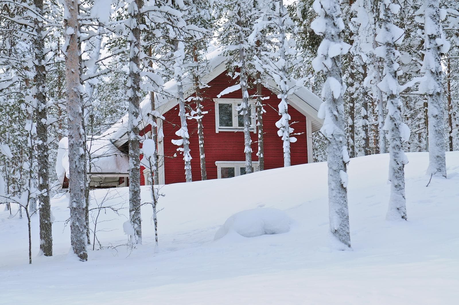 Finnisch Lappland: Winterzauber Ylläs mit Husky-Safari