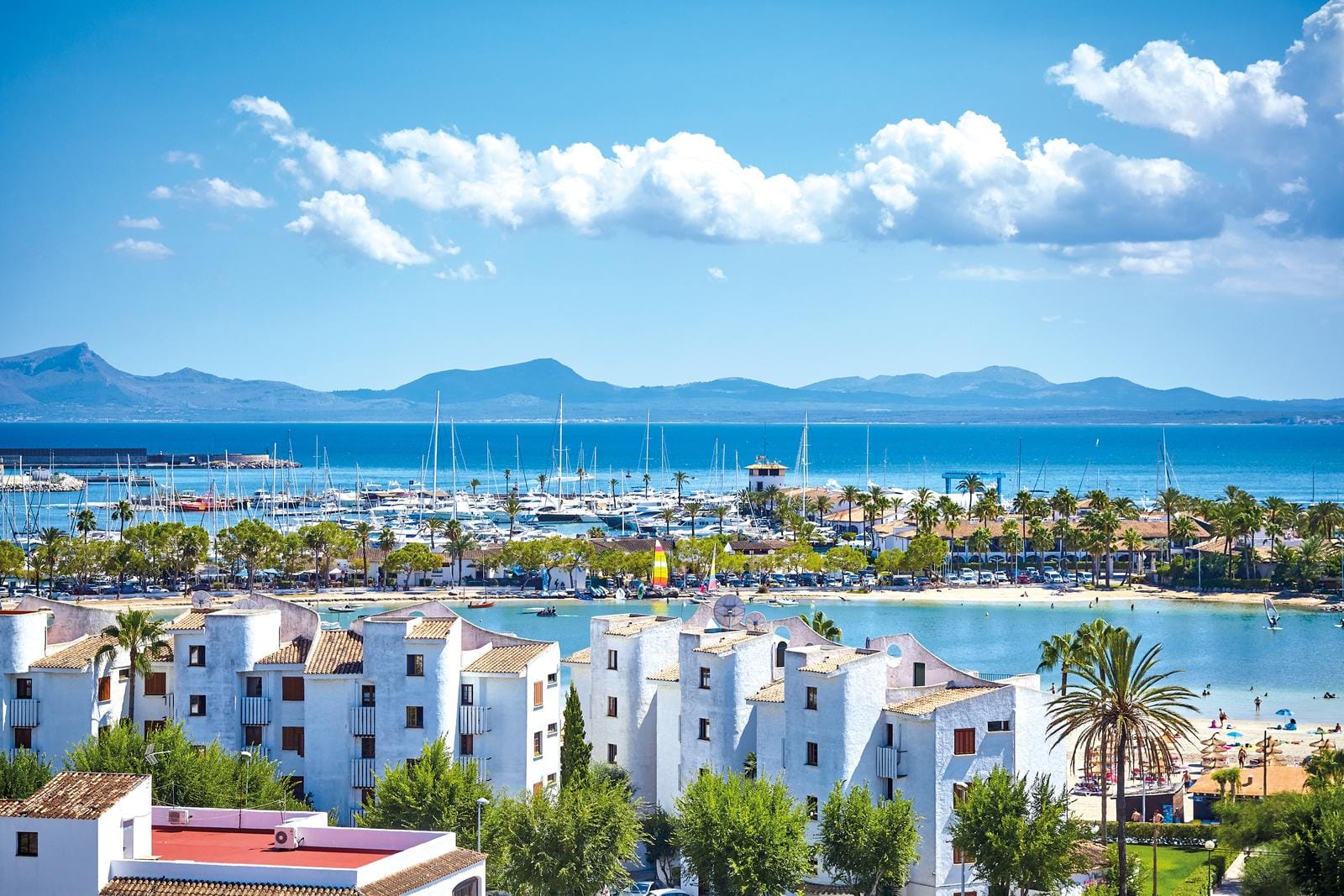 Malerische Küstenstadt mit Palmen, Yachthafen und Meer. Perfekt für Sommerurlaub in Spanien.