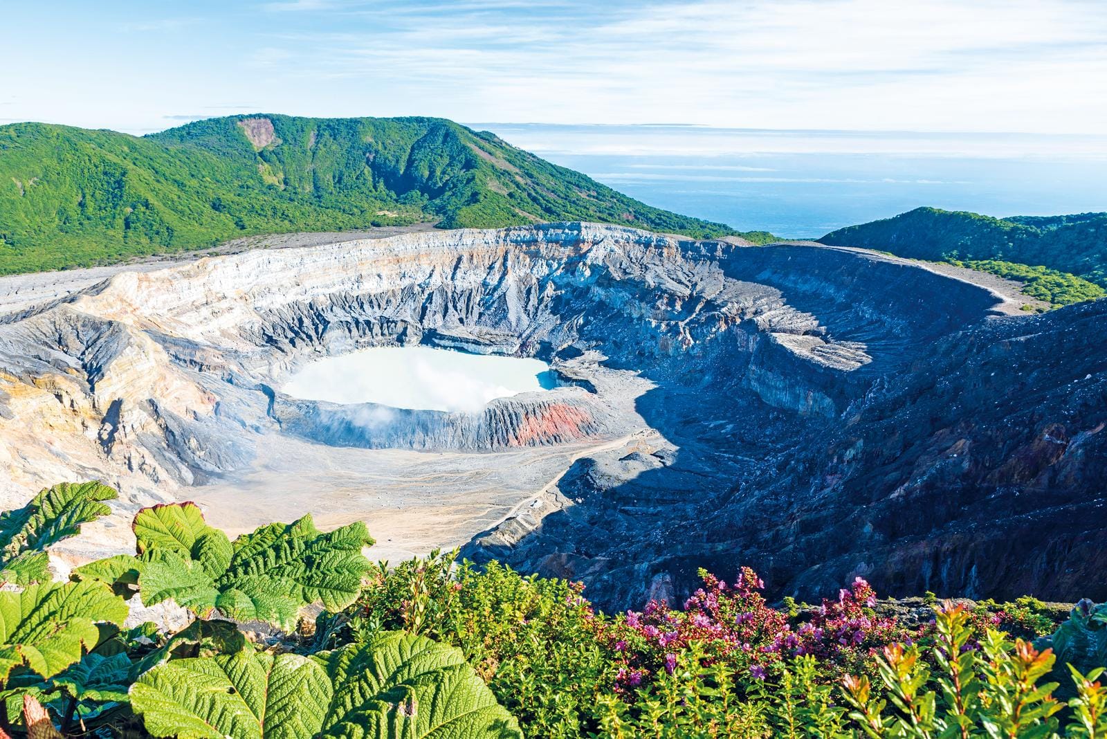 Vulkanlandschaft in Costa Rica mit grünem Kraterrand und blühenden Pflanzen im Vordergrund.