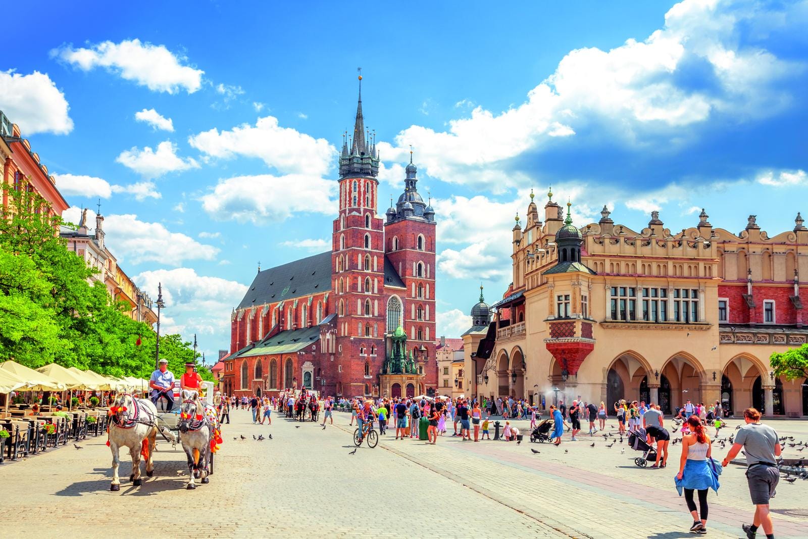 Buntes Treiben auf dem Hauptmarkt von Krakau vor der Marienkirche und den Tuchhallen.