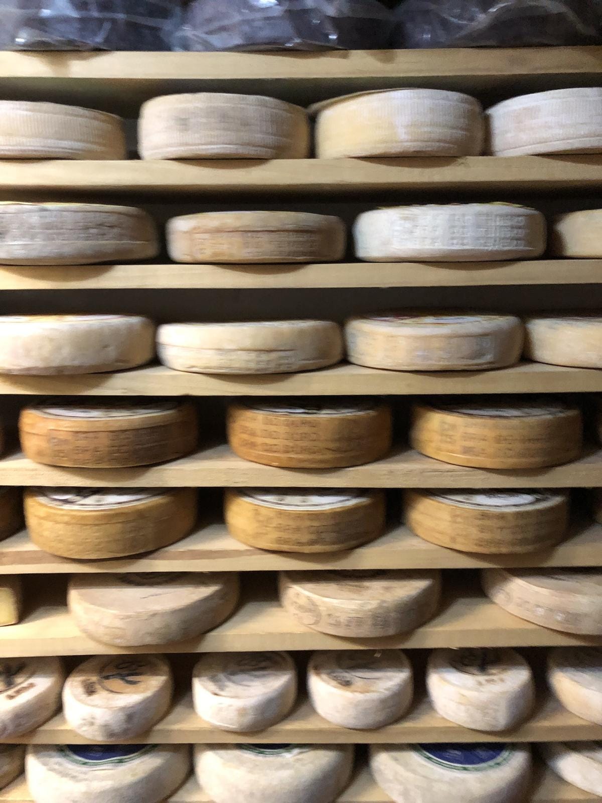 Reife Käselaibe in Regalen; goldene und braune Töne dominieren.