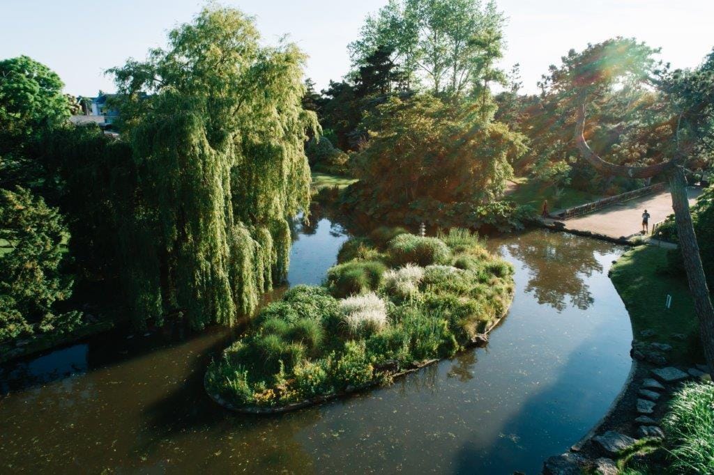 Grüner Landschaftspark mit Teich und üppiger Vegetation bei Sonnenuntergang.
