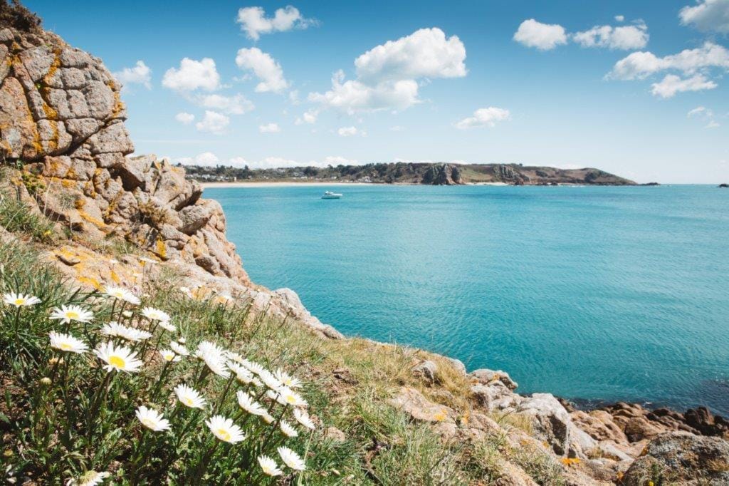 Felsige Küste mit Gänseblümchen, türkisblaues Meer, sonniger Himmel, Boot im Wasser.