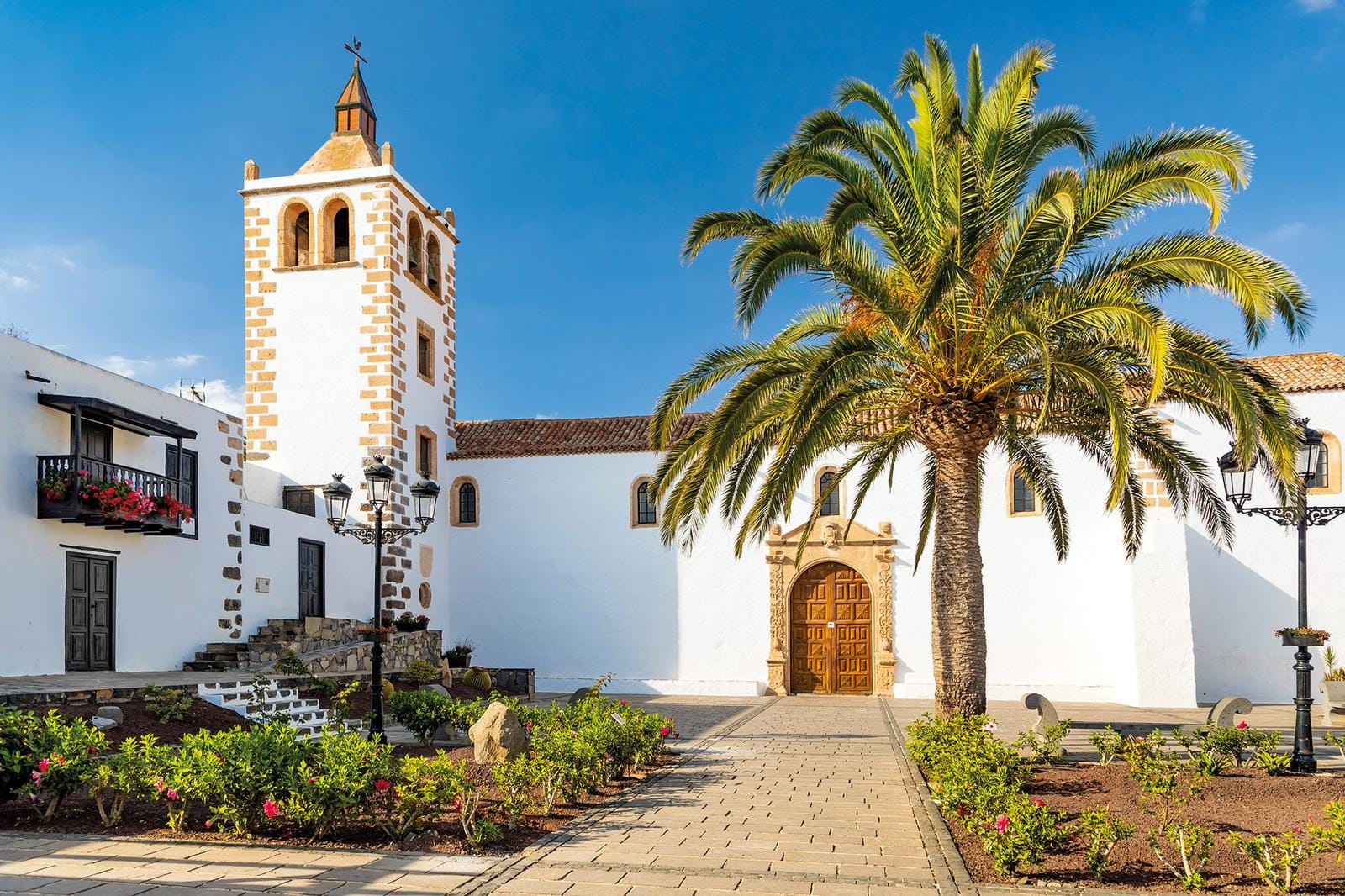 Spanien, Fuerteventura: Weiße Kirche mit Turm und Palme im Vordergrund bei blauem Himmel.