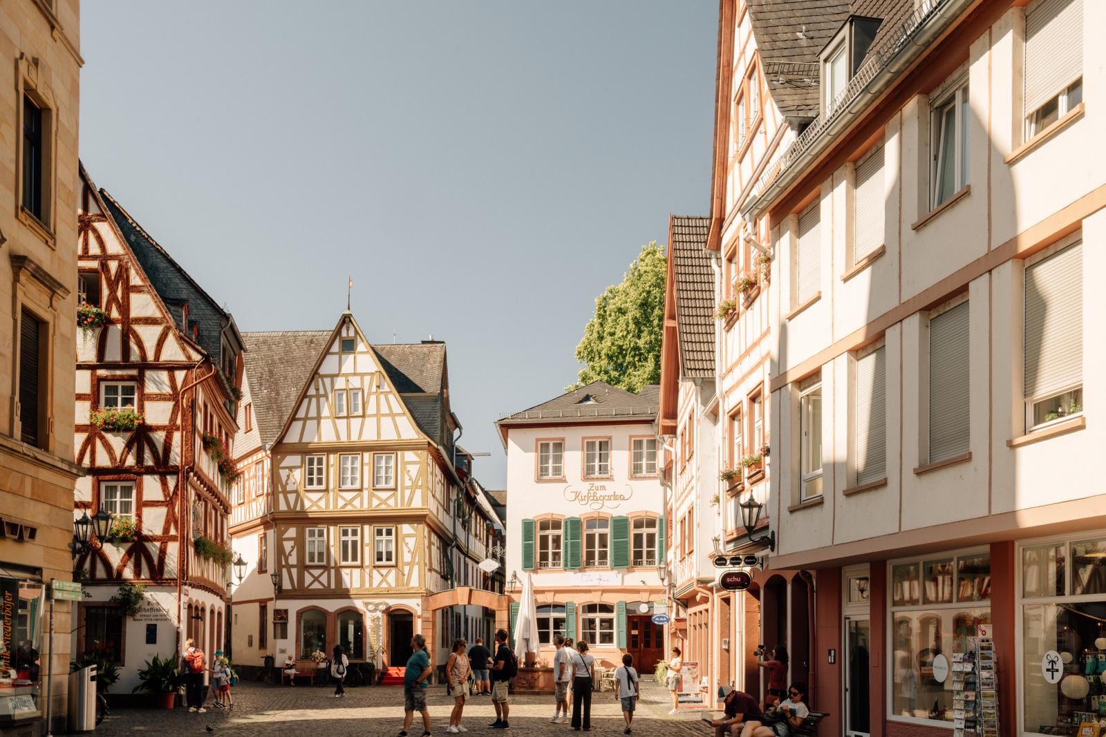 Kirschgarten Mainz