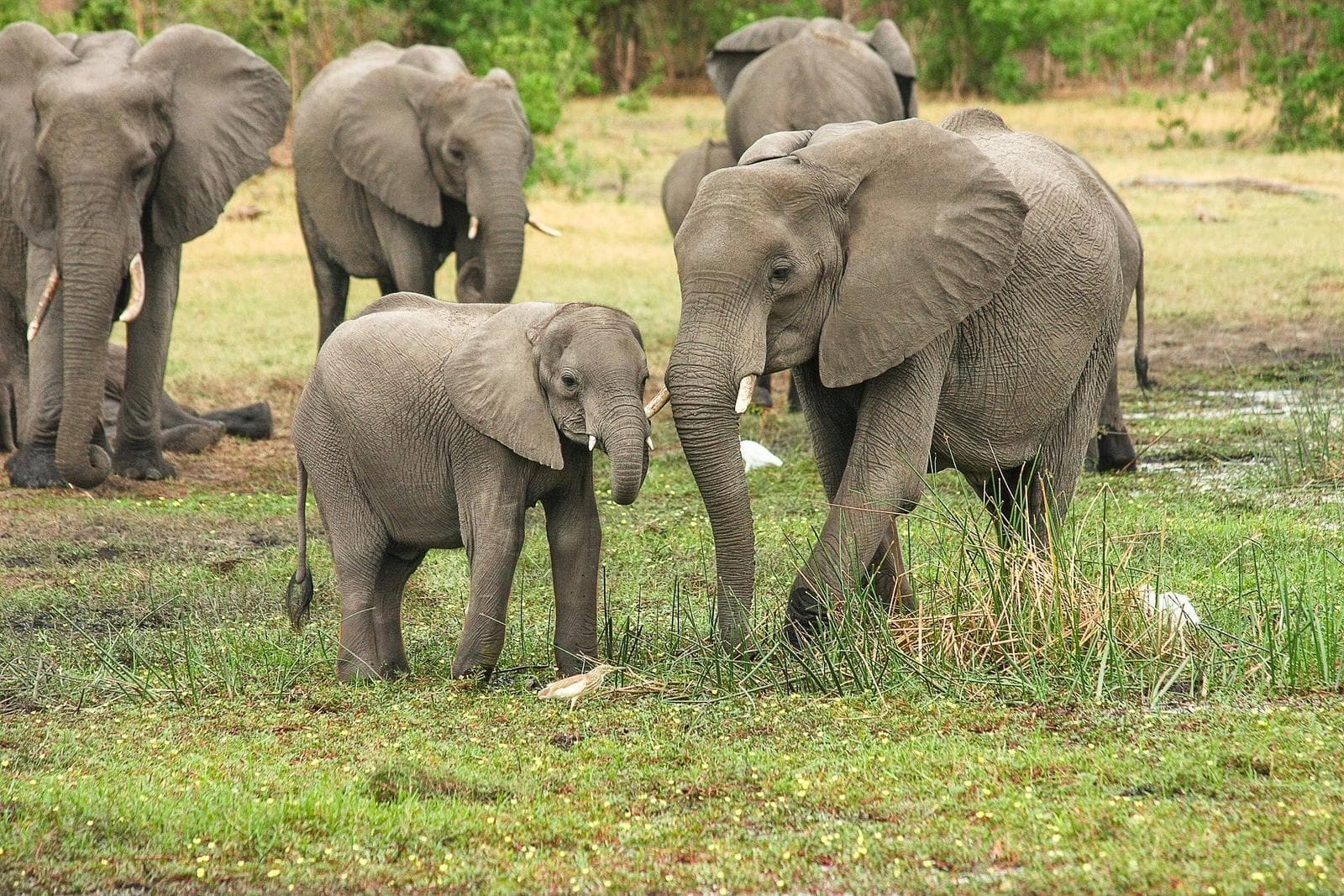 Südafrika Küstenzauber und Safariabenteuer