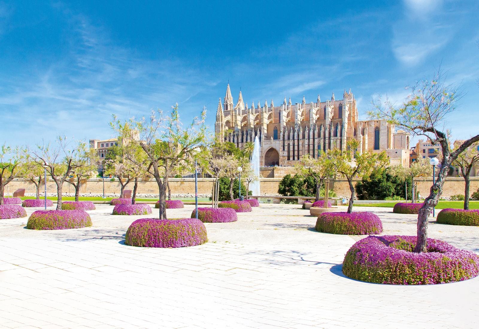 Gepflegter Platz mit blühenden Pflanzen vor der gotischen Kathedrale in Palma, Spanien.