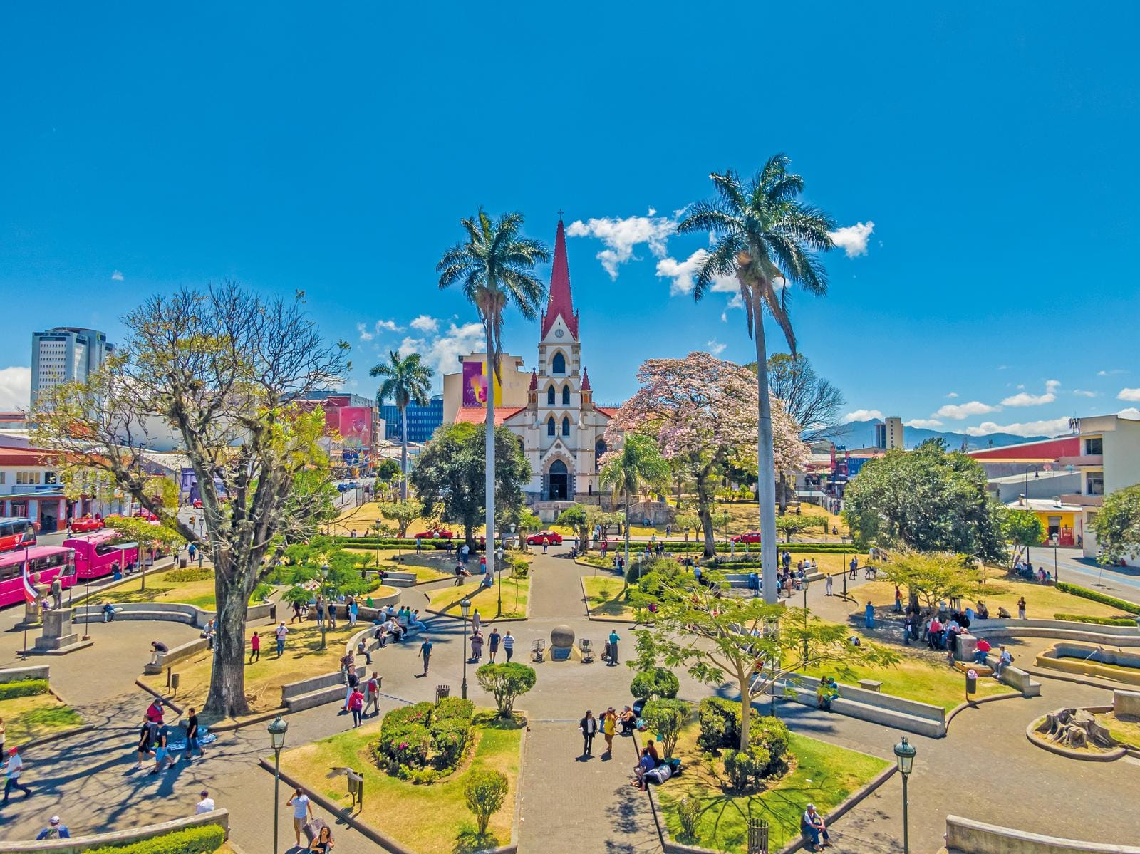 Stadtpark mit Kathedrale, Palmen und Menschen in San José, Costa Rica bei klarem Himmel.