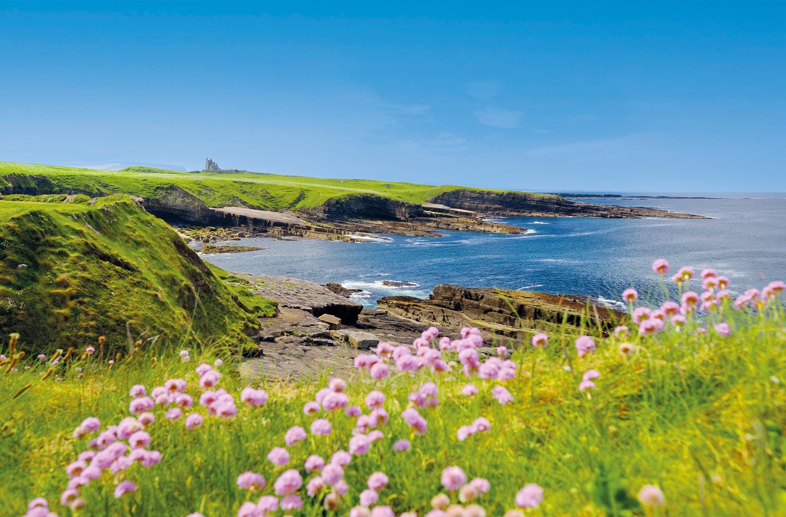 Küste von Irland mit grünen Klippen, pinken Blumen und ruinierter Burg im Hintergrund.