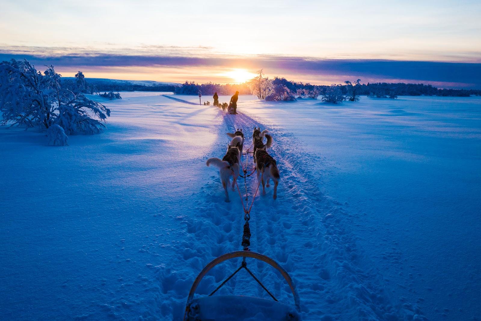 Hundeschlittenfahrt im glitzernden Schnee bei Sonnenuntergang in Finnlands wunderschöner Wildnis.