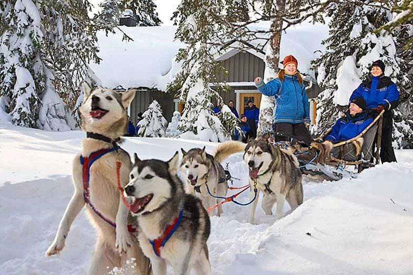 Husky-Schlittenfahrt im winterlichen Finnland, Menschen genießen die verschneite Natur.