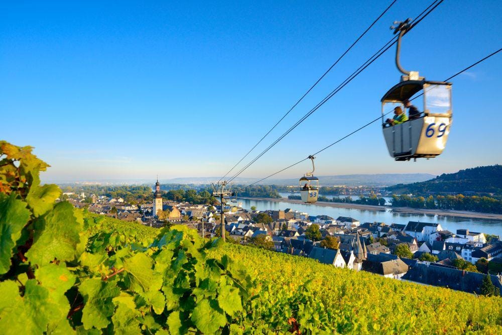 Rüdesheim