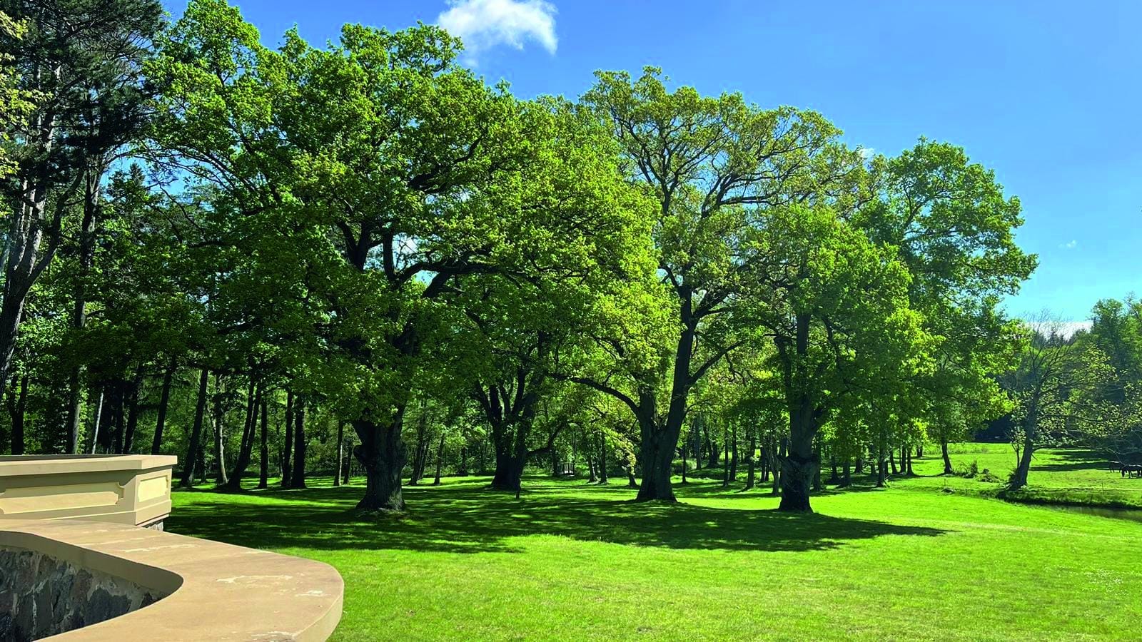 Residenzhotel am Bernsteinschloss Parkanlage