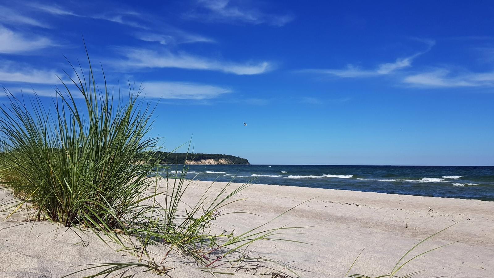 Strand mit Dünen und blauem Meer auf Rügen