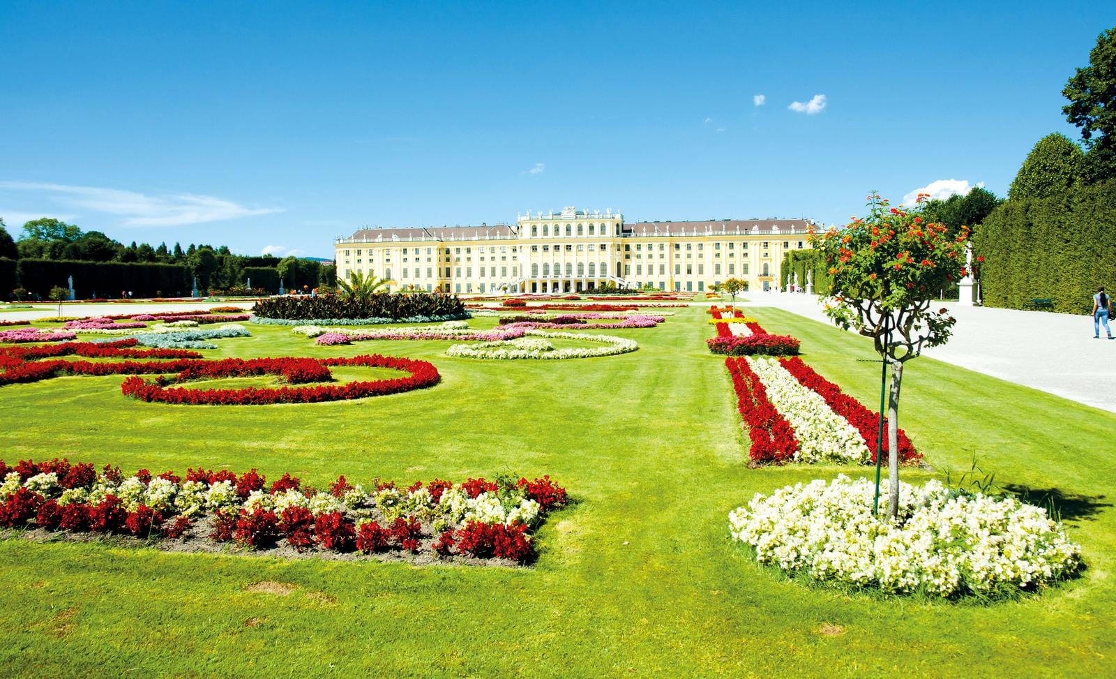 Prächtiger sommerlicher Schlossgarten in Wien, Österreich, blühend unter strahlend blauem Himmel.