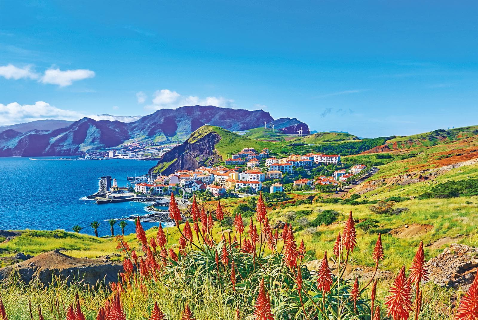 Bunte Küstenstadt auf Madeira, Portugal, mit roten Blumen und Bergen im Hintergrund.