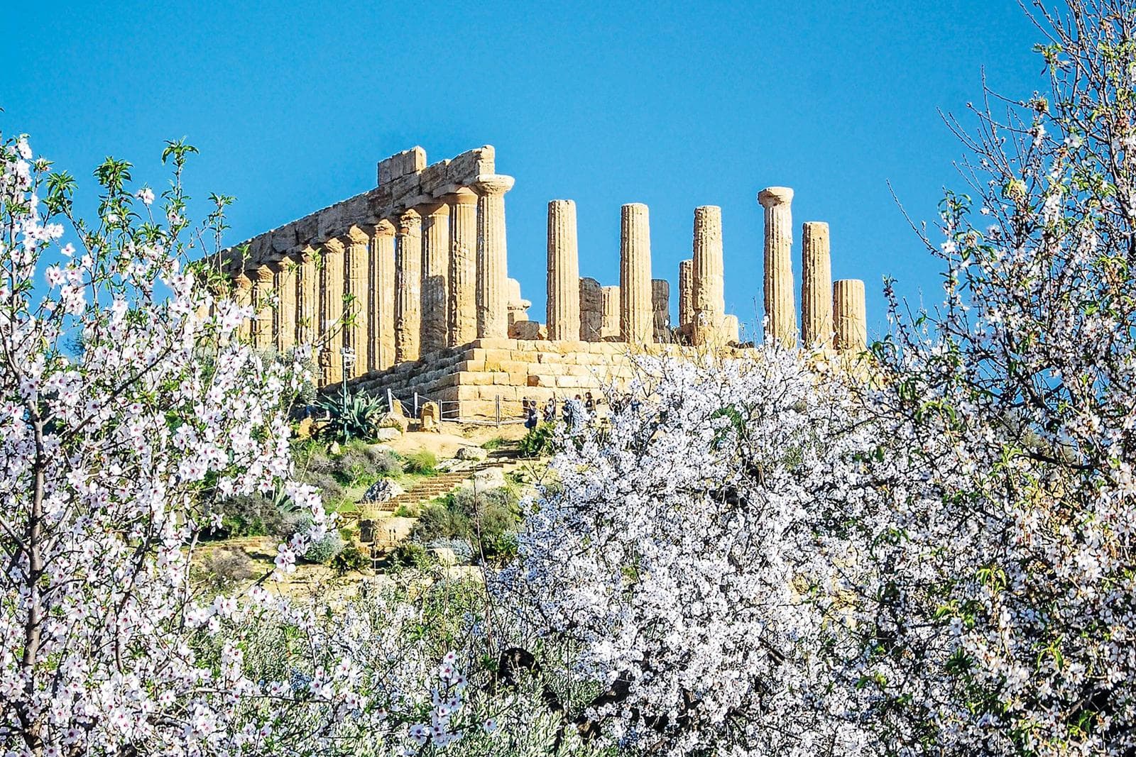 Sizilien zur Mandelblüte