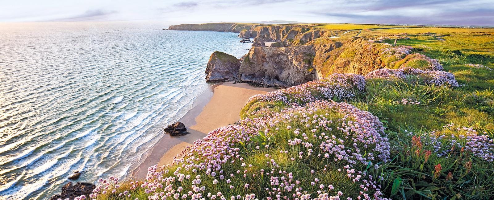 Küste von Irland mit blühenden Klippen und beeindruckendem Meerblick bei Sonnenuntergang.