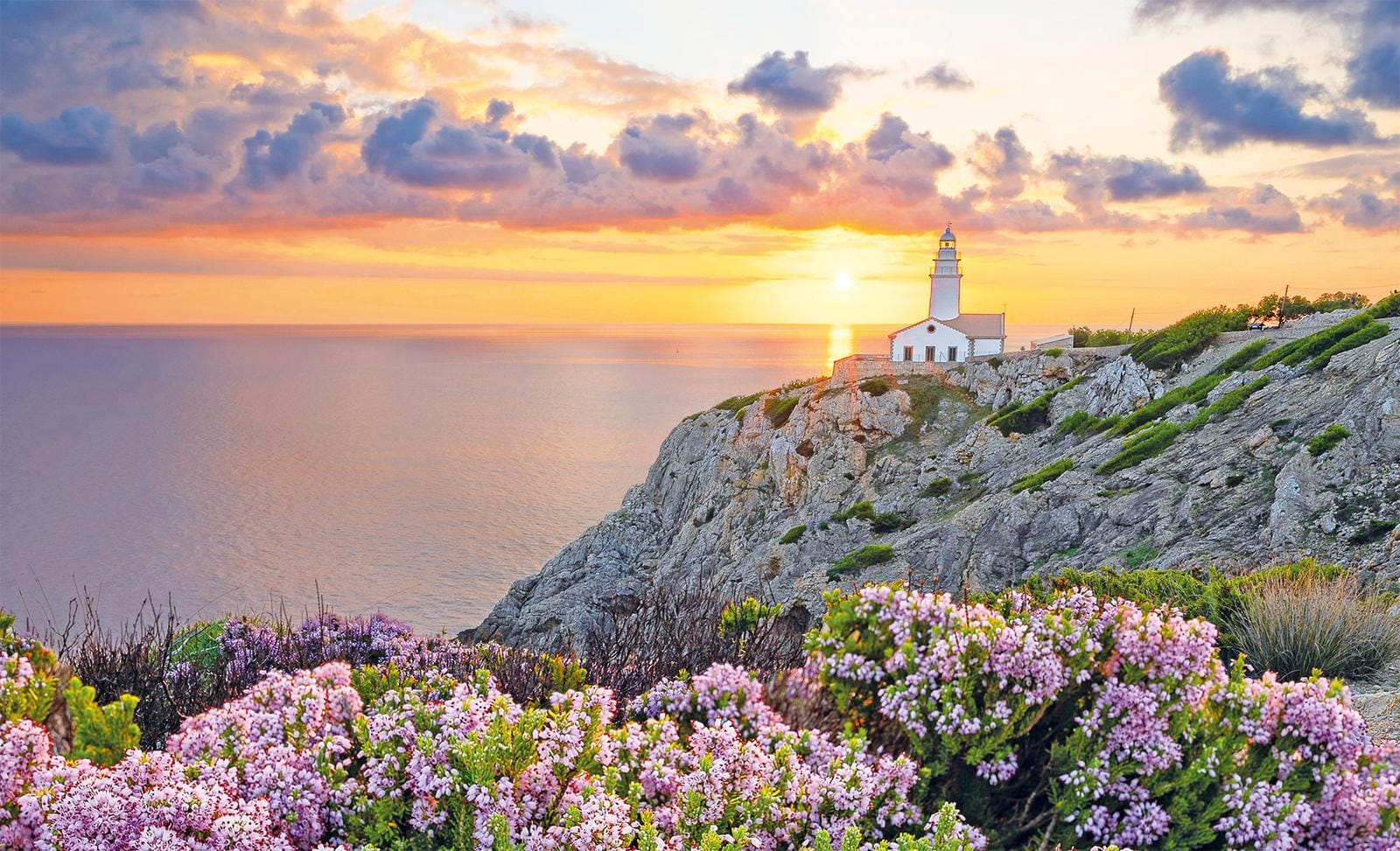 Klippe bei Sonnenuntergang mit Leuchtturm und violetten Blumen im Vordergrund, Spanien.