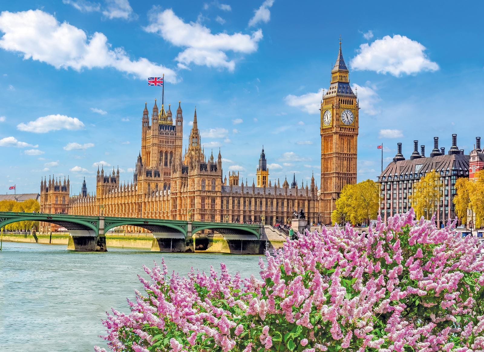 Blick auf den Big Ben und die Westminster Bridge in London, England, mit bunten Blumen im Vordergrund.