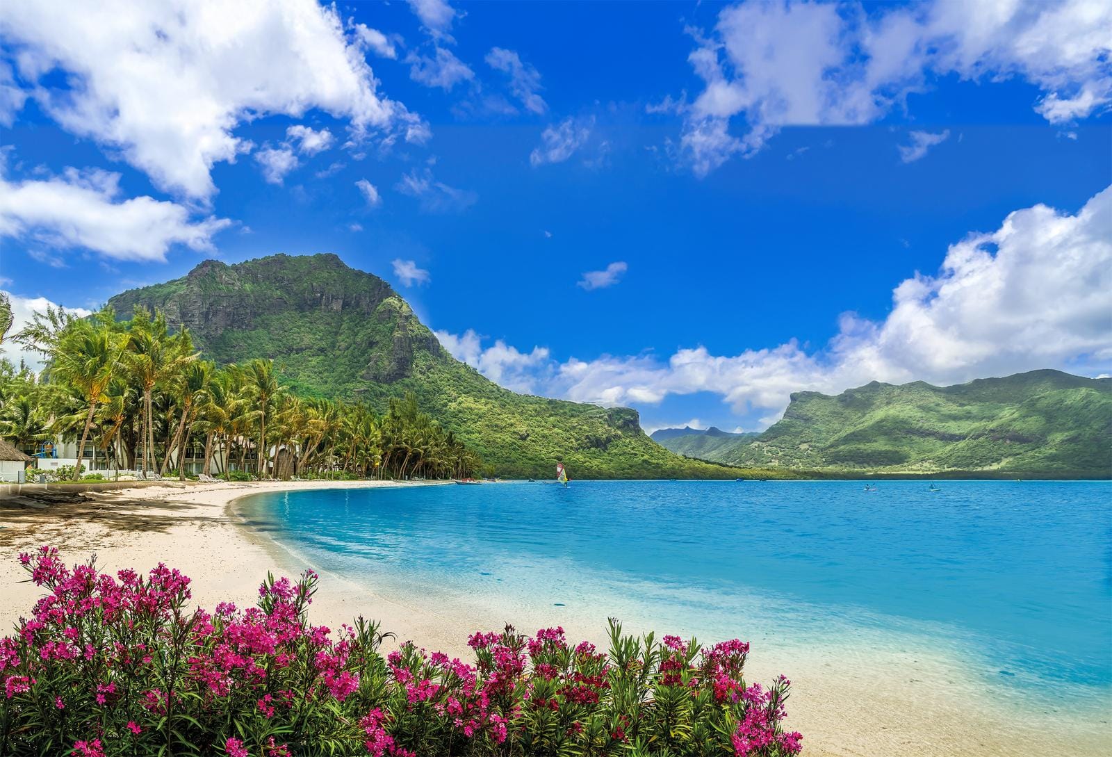 Tropischer Strand auf Mauritius mit grünem Berg, Palmen und bunten Blumen im Vordergrund.