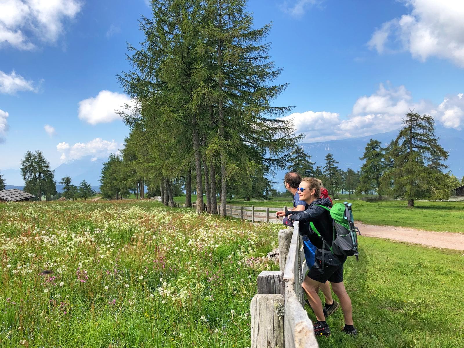 Wanderer genießen die Aussicht auf eine blühende Almwiese in den Alpen bei blauem Himmel.