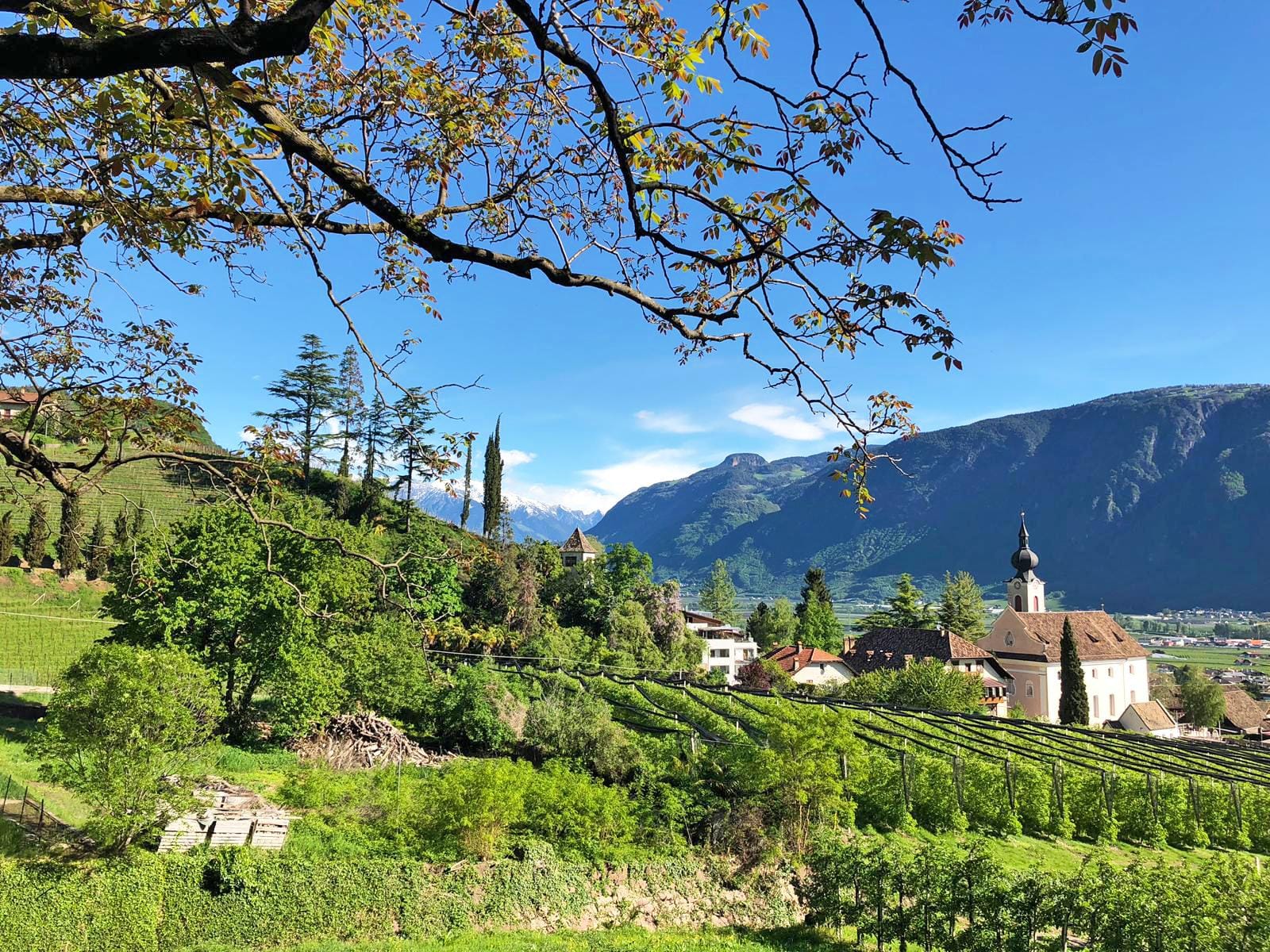Grüne Weinberge, Kirche, idyllische Berglandschaft, Südtirol, blauer Himmel.