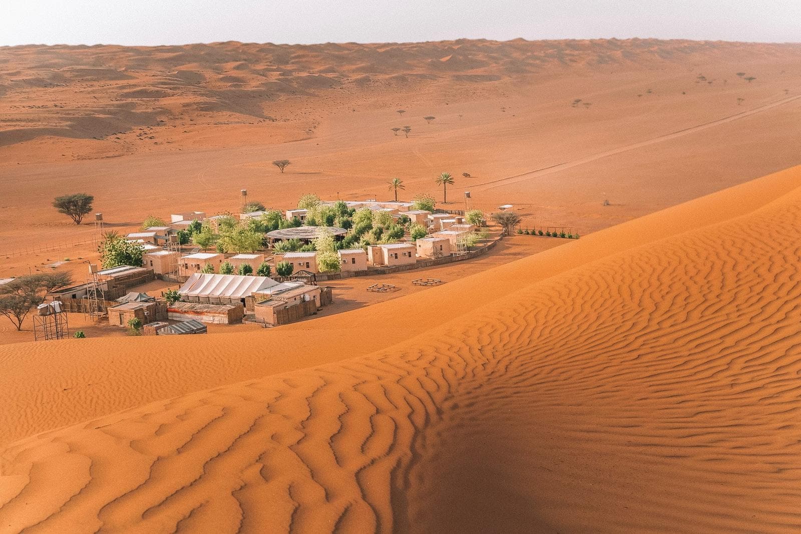 Wüstenoase mit Gebäuden und grünen Bäumen inmitten goldener Sanddünen, sonnig.