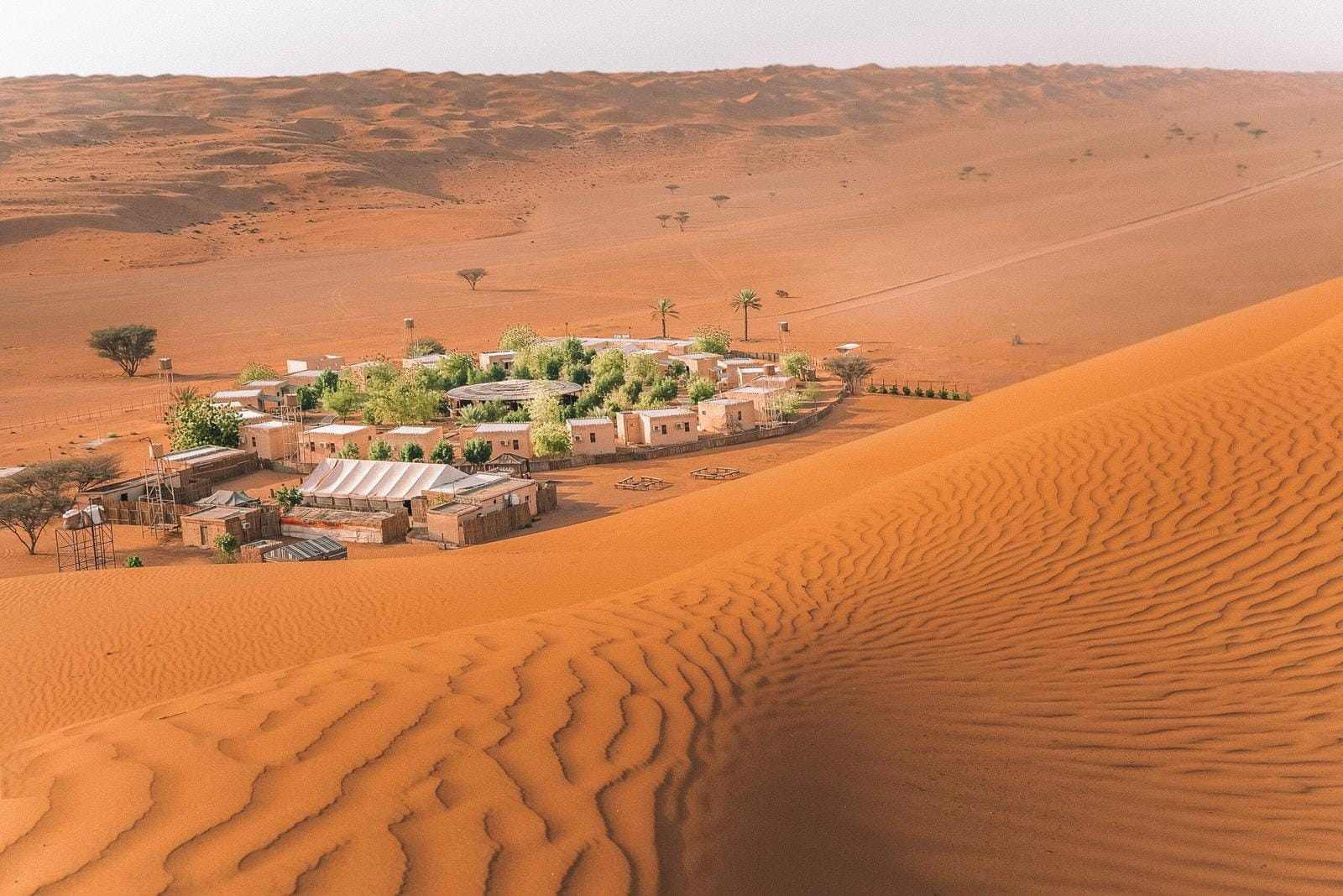 Wüstenoase mit Gebäuden und grünen Bäumen inmitten goldener Sanddünen, sonnig.