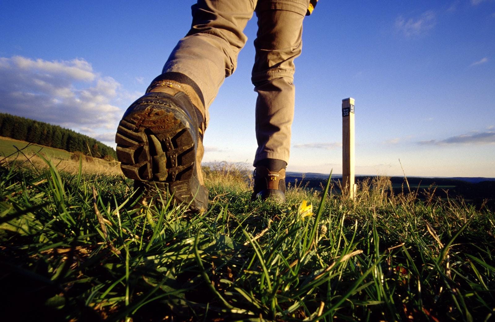 Wanderer in grüner Landschaft, Holzpfahl im Hintergrund, blauer Himmel.